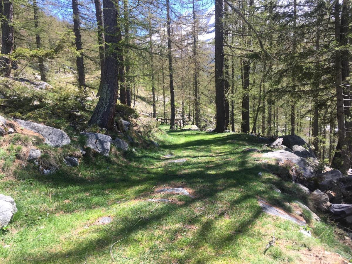 Chalet Del Lago Ceresole Reale Εξωτερικό φωτογραφία