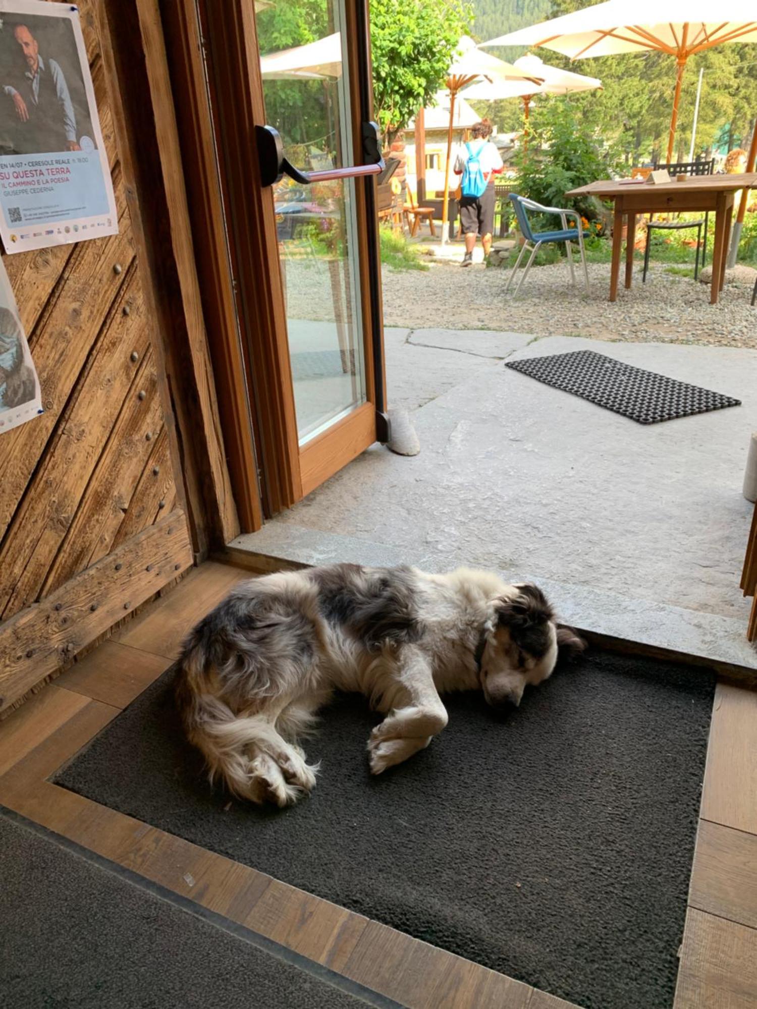 Chalet Del Lago Ceresole Reale Εξωτερικό φωτογραφία